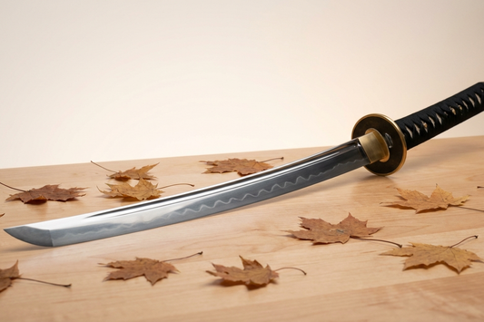 Katana für Anfänger auf traditionellem Holzständer mit Pflegeset und Stahlfarbkarte