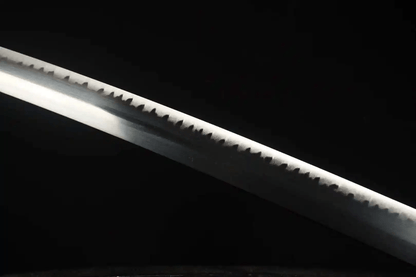 Sandai Kitetsu Katana-Schwert – Gesamtansicht