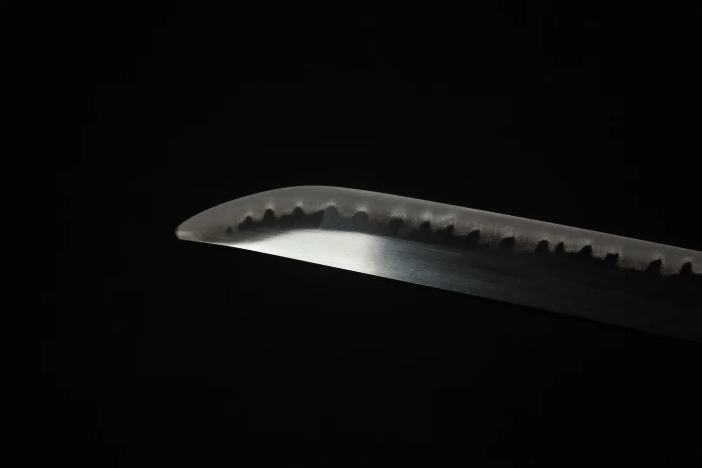 Sandai Kitetsu Katana-Schwert – Gesamtansicht