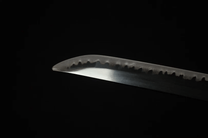 Sandai Kitetsu Katana-Schwert – Gesamtansicht